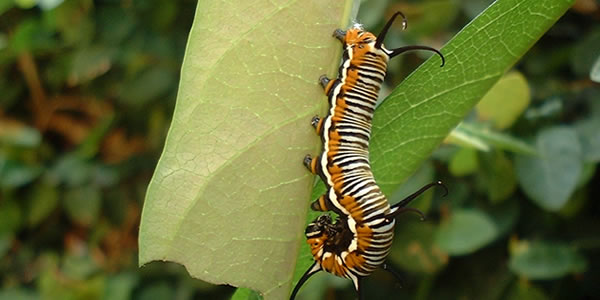 免费ddos压力测试平台